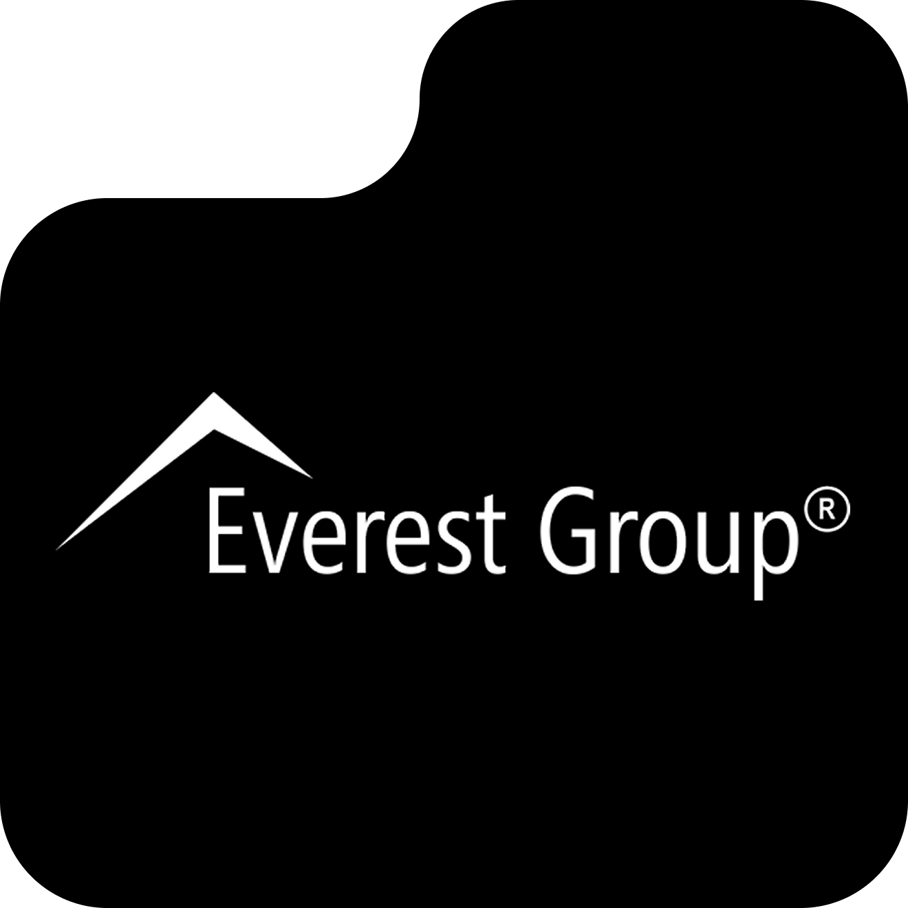 Everest Group Hero Logo